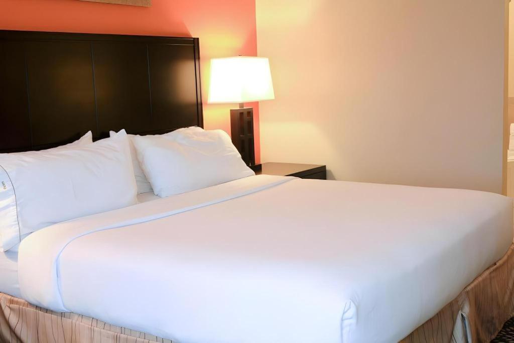 Holiday Inn Express Hotel & Suites Grand Island By Ihg Kültér fotó